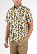 Tropical Fruits