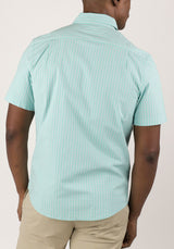 Pool Blue/Skyway Gingham