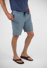 Blue Fog Shells