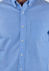 Dutch Blue